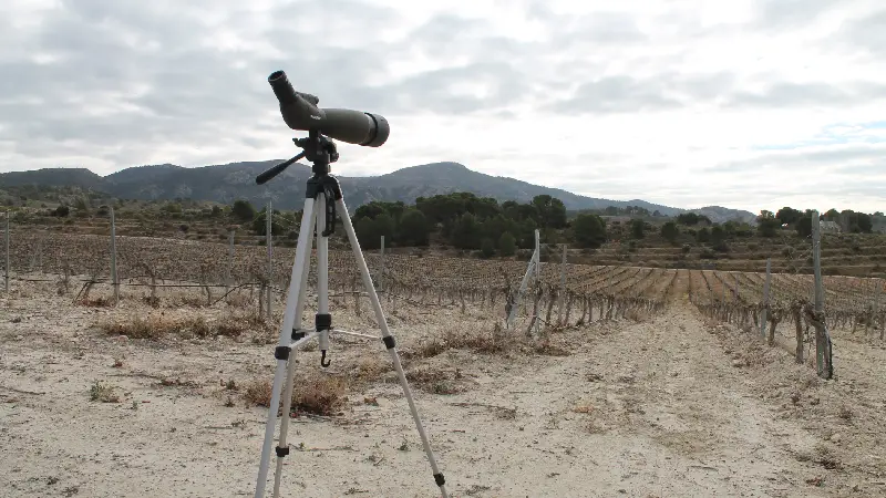 Ciclo completo avifauna en Granada<br />
