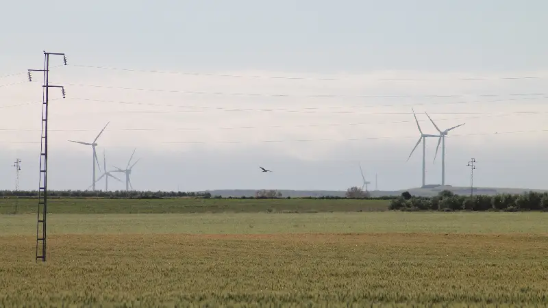 Estudio de impacto ambiental en Toledo<br />
