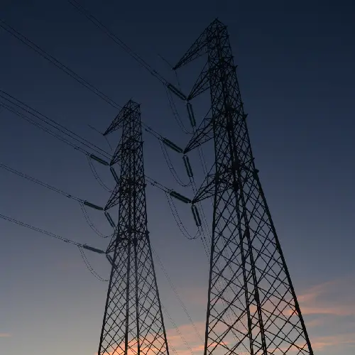 Estudio de quirópteros en Sevilla<br />
