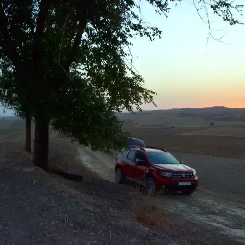 Estudio de quirópteros en Sevilla<br />
