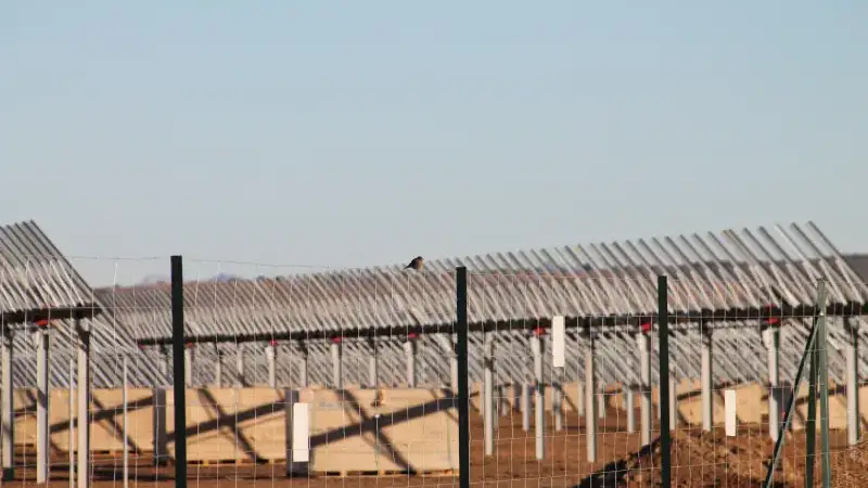Vigilancia ambiental en Almería